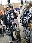 IMGP1146.jpg