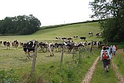 DSC_0467.jpg