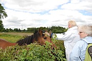 DSC_0494.jpg
