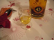 IMGP3502.jpg