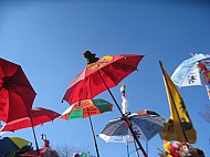 IMG_2265.jpg