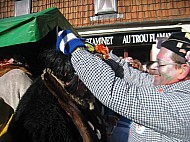 IMG_2288.jpg