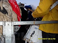 SDC13248.jpg
