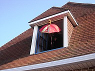 IMG_6015.jpg