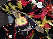 P1000206.jpg